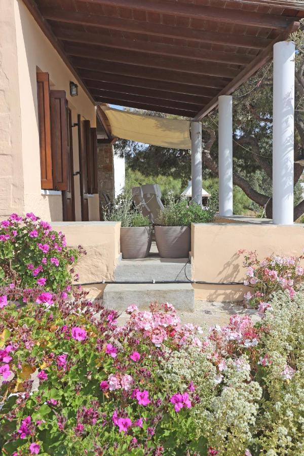 Pine Cottage, Syros Island Agros  Ngoại thất bức ảnh