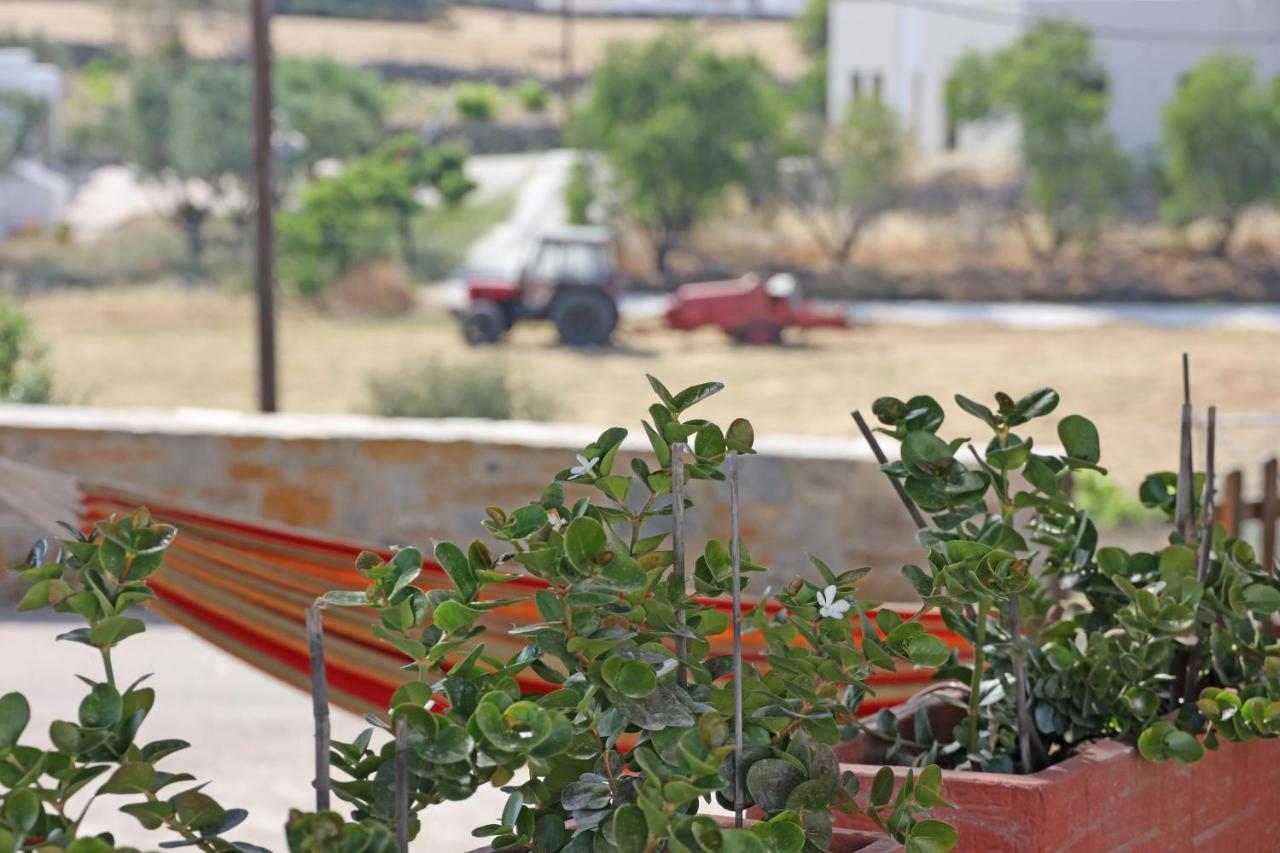 Pine Cottage, Syros Island Agros  Ngoại thất bức ảnh